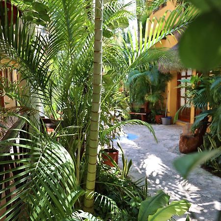 Hotel Bosque Caribe, 5Th Av. Zone Playa del Carmen Exterior foto