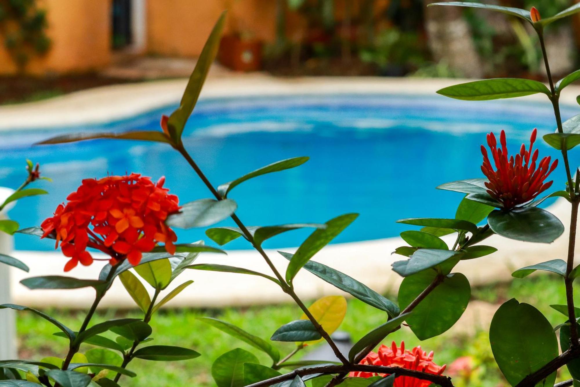Hotel Bosque Caribe, 5Th Av. Zone Playa del Carmen Exterior foto