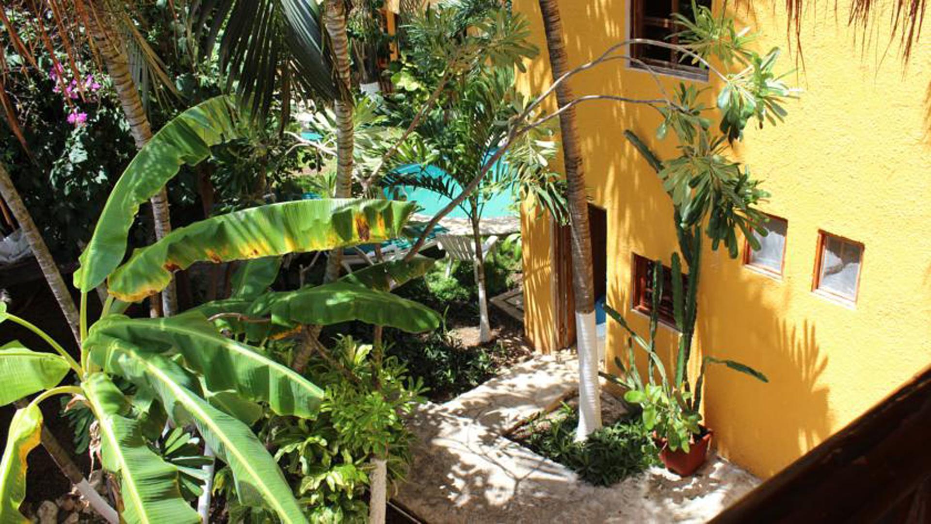 Hotel Bosque Caribe, 5Th Av. Zone Playa del Carmen Exterior foto